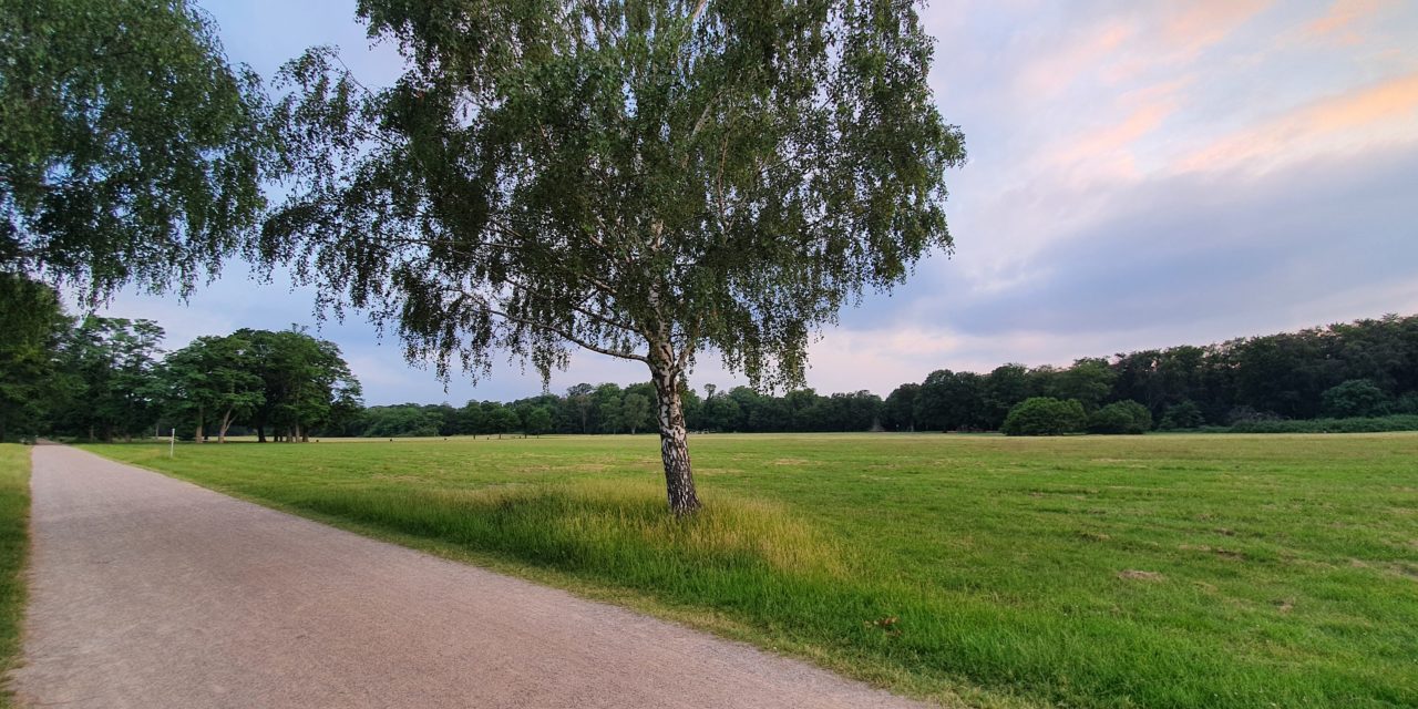„Zum über uns sich breitenden Erkennen“ – Lyrik über Erkenntnis