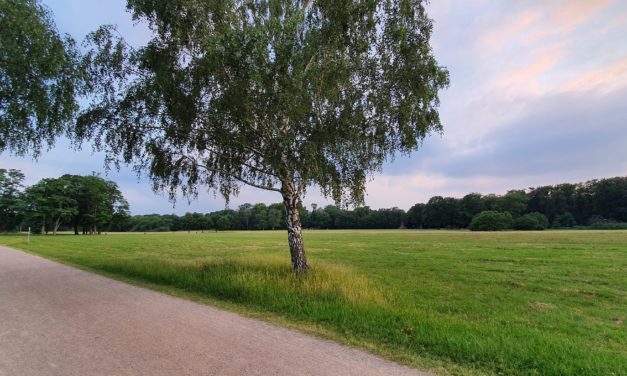 „Zum über uns sich breitenden Erkennen“ – Lyrik über Erkenntnis