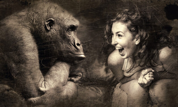 Wir Diskordier müssen auseinanderhalten!