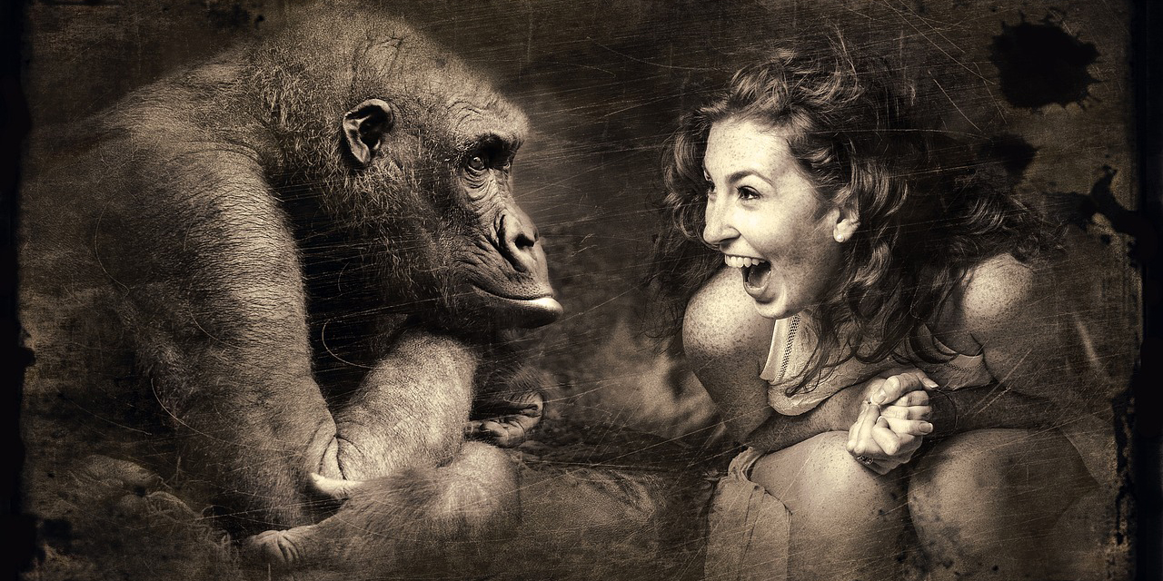 Wir Diskordier müssen auseinanderhalten!