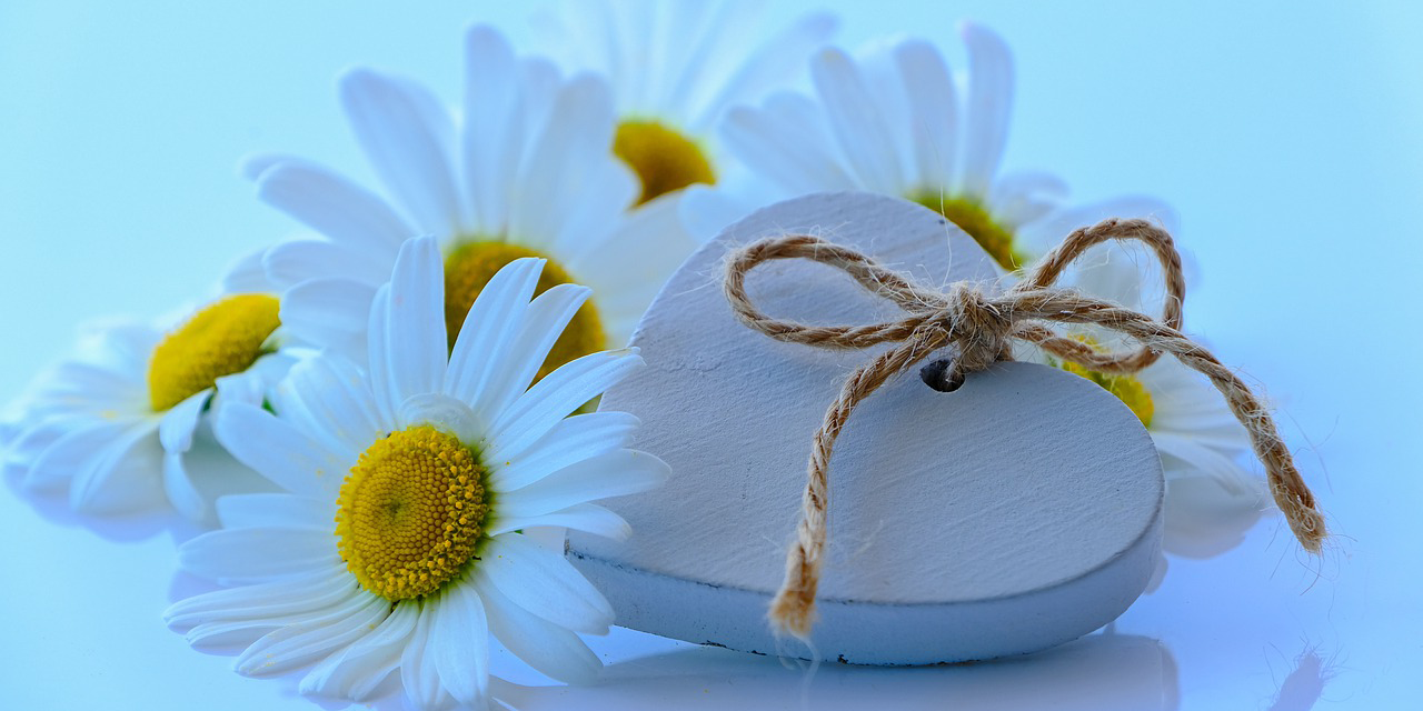 Zum internationalen Tag der Freundschaft