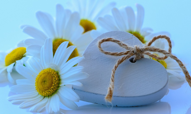 Zum internationalen Tag der Freundschaft