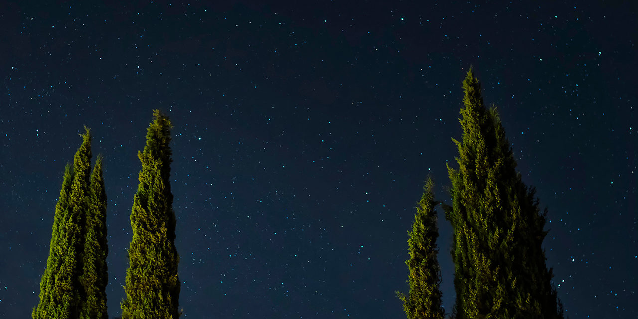 Erzählung „Zur Eigentlichkeit“