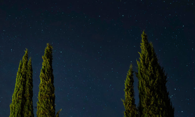 Erzählung „Zur Eigentlichkeit“