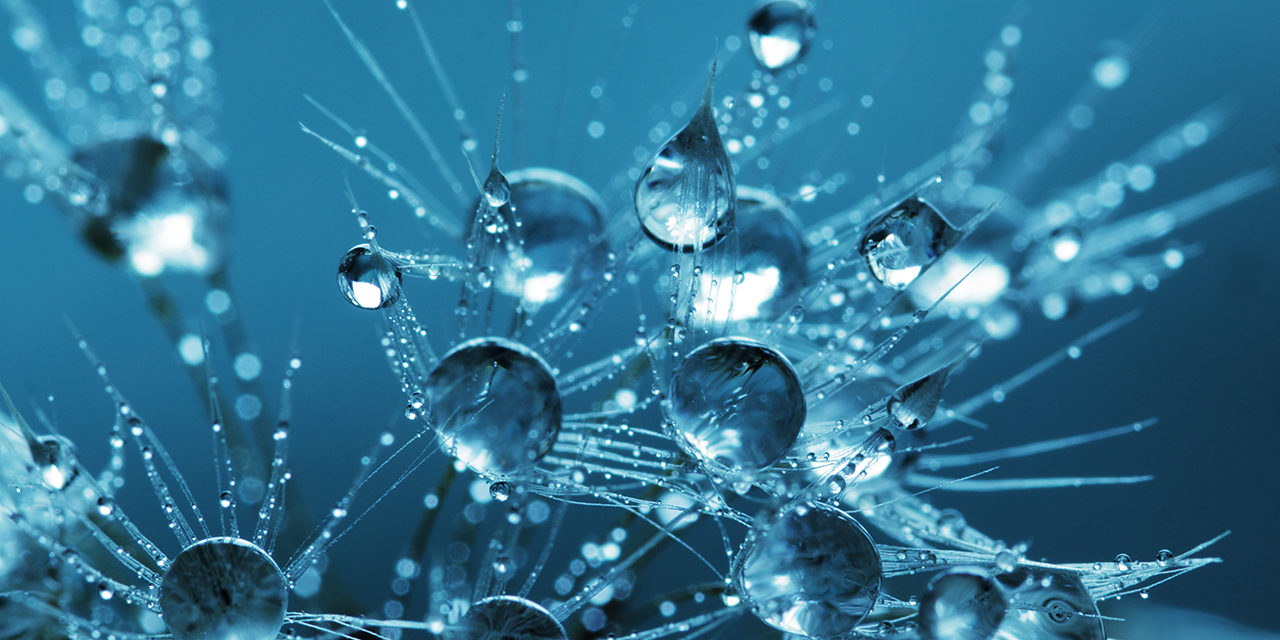 „Geworfenheit und letztes Ziel“ – Gedicht über die Sinnsuche der Lyrik