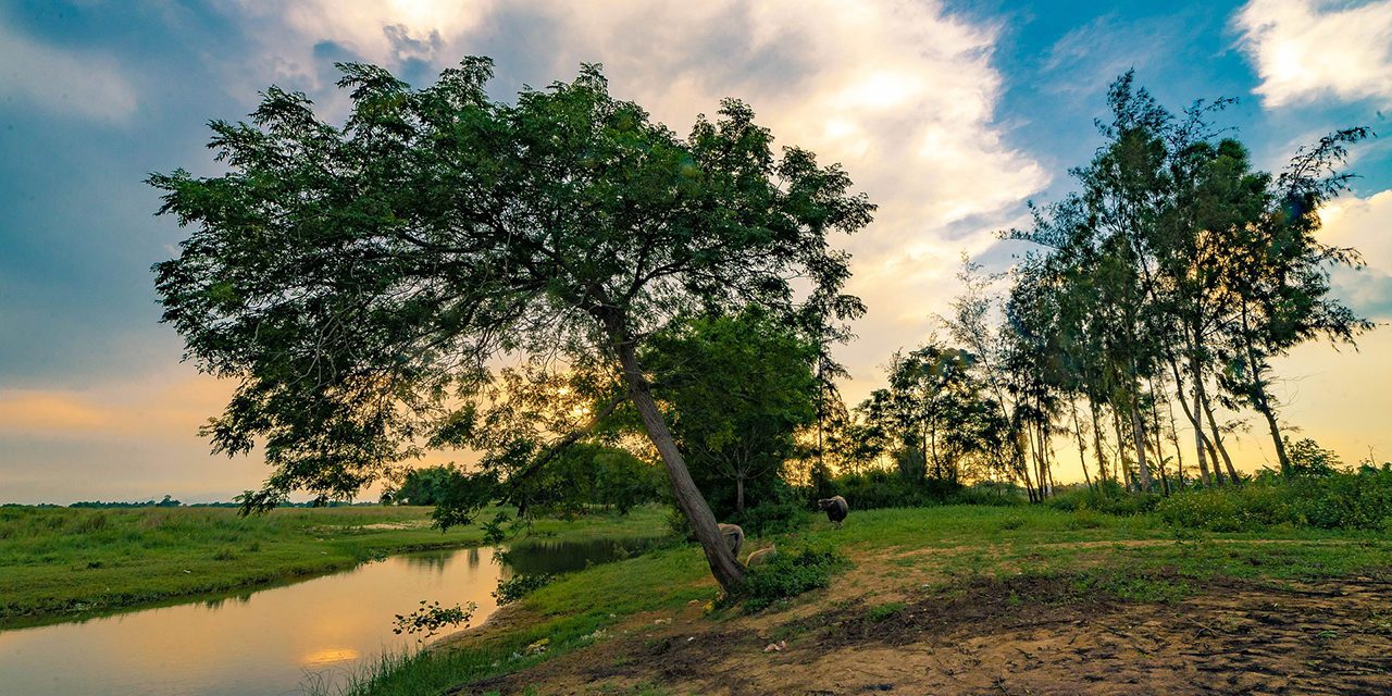 „Divini Amoris Scientia“ – ein heraklitisches Lehrgedicht