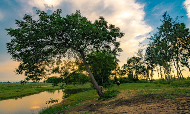 „Divini Amoris Scientia“ – ein heraklitisches Lehrgedicht