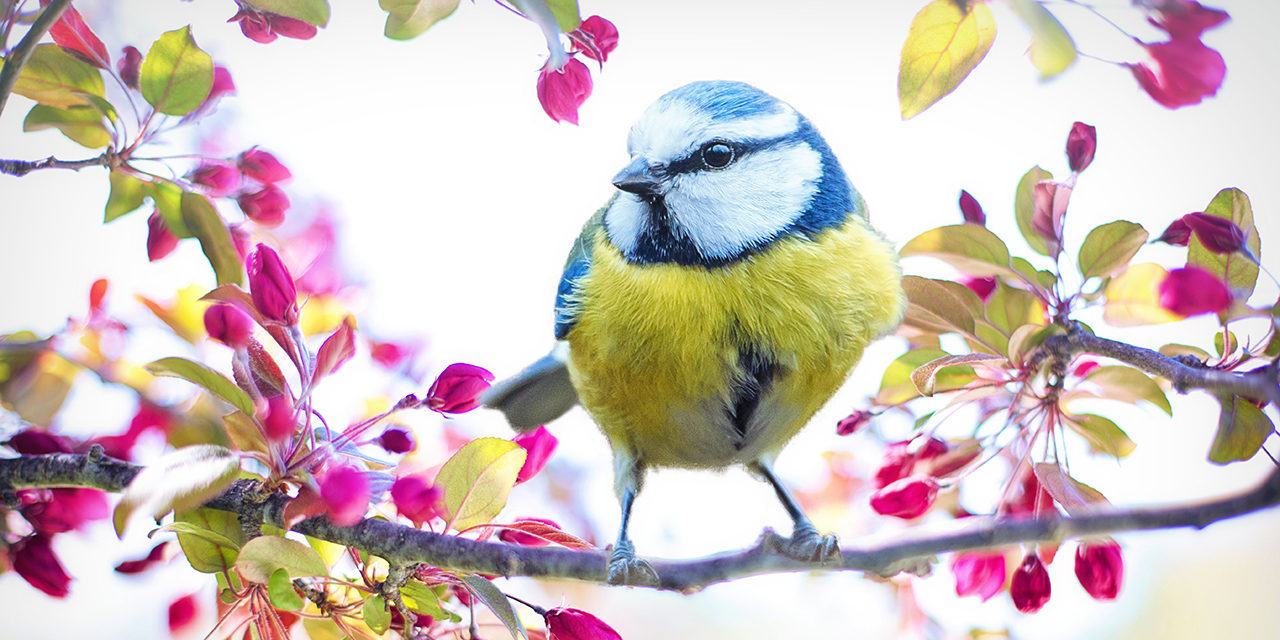 „Materialismus und Idealismus in Parabeln“ – Gedicht