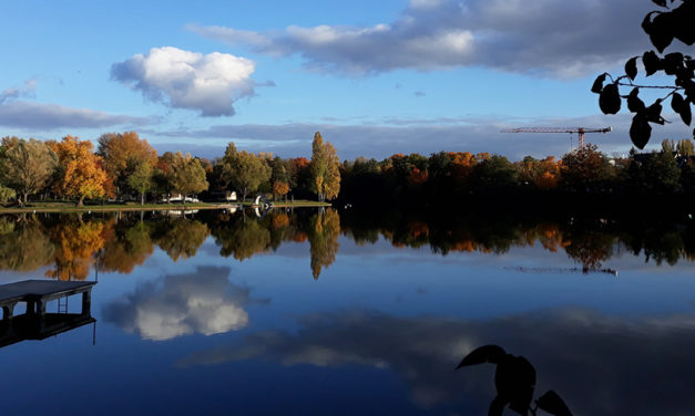 »Der große Woog zu Darmstadt« – Ballade