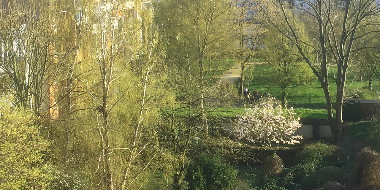 »Ein Samstag im März« – Ein Gedicht