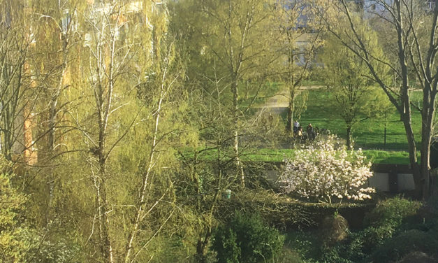 »Ein Samstag im März« – Ein Gedicht