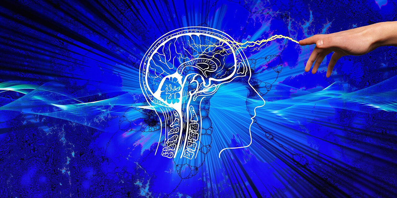 Konzentration und Gedächtnis spielend verbessern…? Das geht!