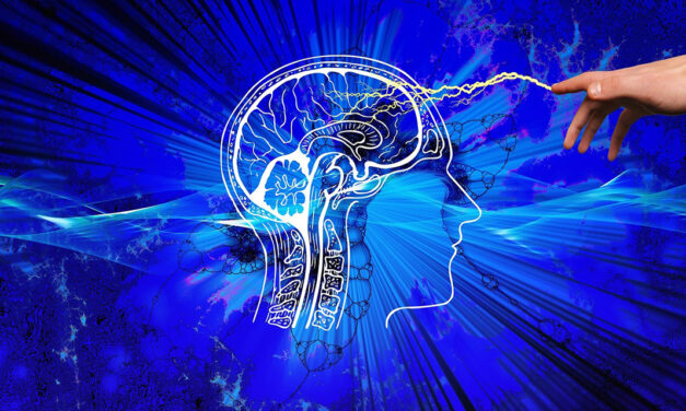 Konzentration und Gedächtnis spielend verbessern…? Das geht!