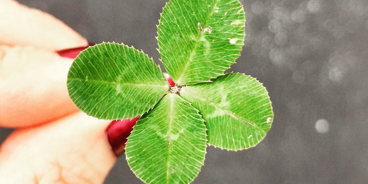 Murphy’s Law im Einzelnen