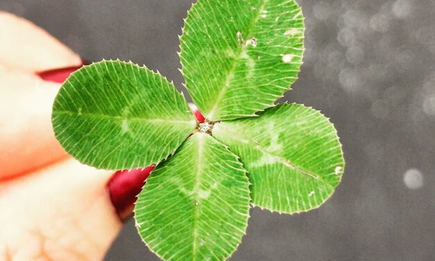 Murphy’s Law im Einzelnen