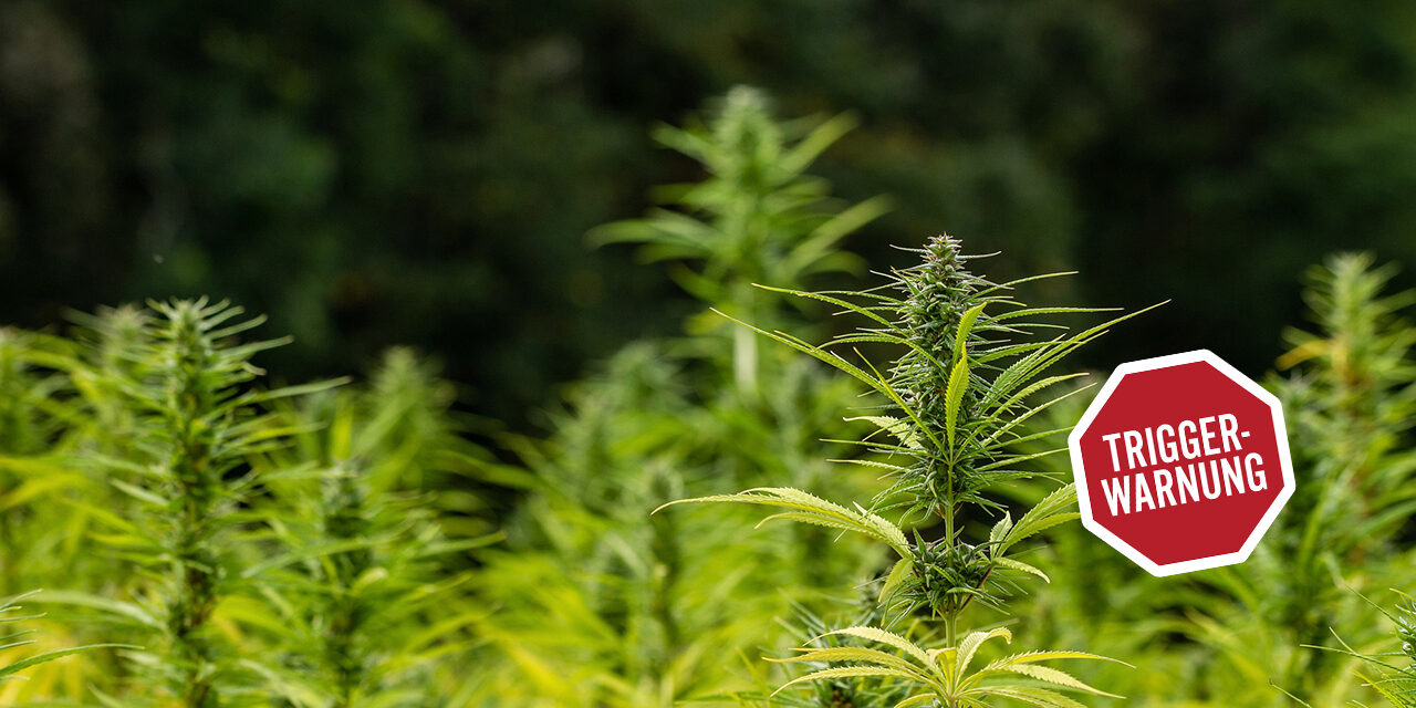 Cannabis und Ketamin – hilfreich bei Depression, PTBS und Angst?