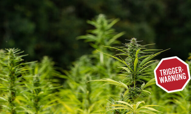 Cannabis und Ketamin – hilfreich bei Depression, PTBS und Angst?