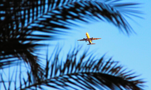 »Sonne des Südens« – Gedicht