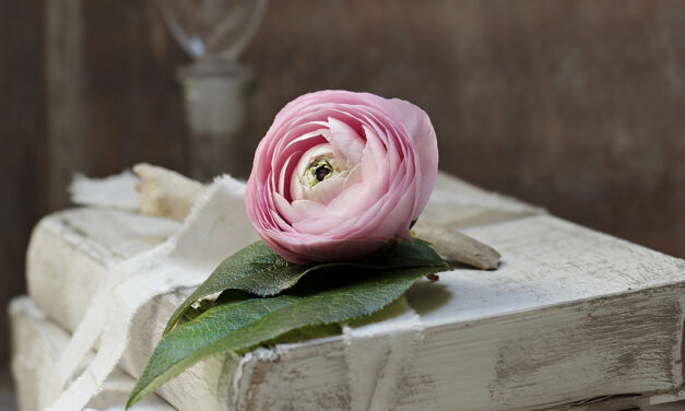 »Für Elisa V.« – Gedicht