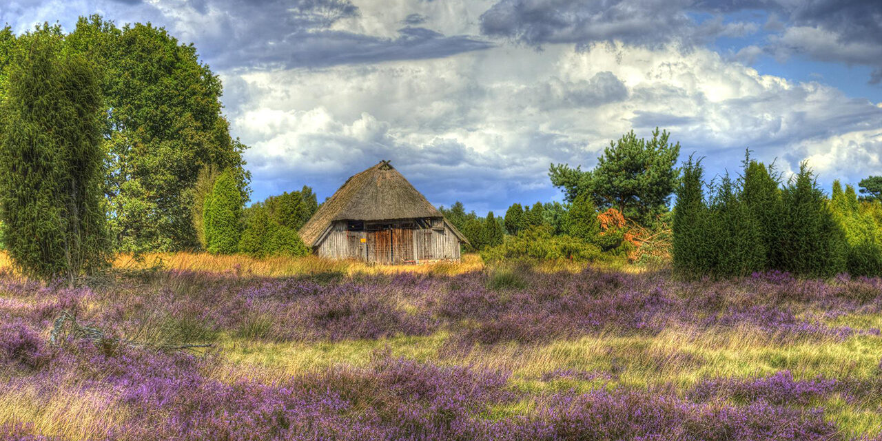»In der Lüneburger Heide« – Gedicht