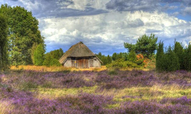 »In der Lüneburger Heide« – Gedicht