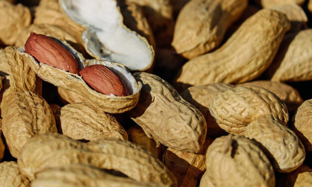 Kooperation ist stärker als Konkurrenz