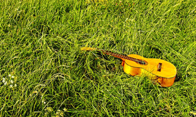 »Irish Folk« – Ein Erfahrungsbericht