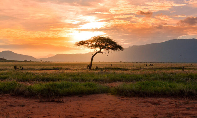 »Sonne Afrikas« – Gedicht