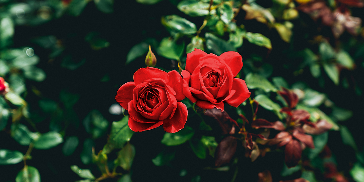 »Vater.« – Ein Gedicht zum Vatertag