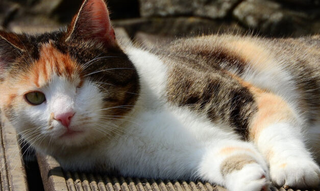 Ein Wort als Stigmatisierung