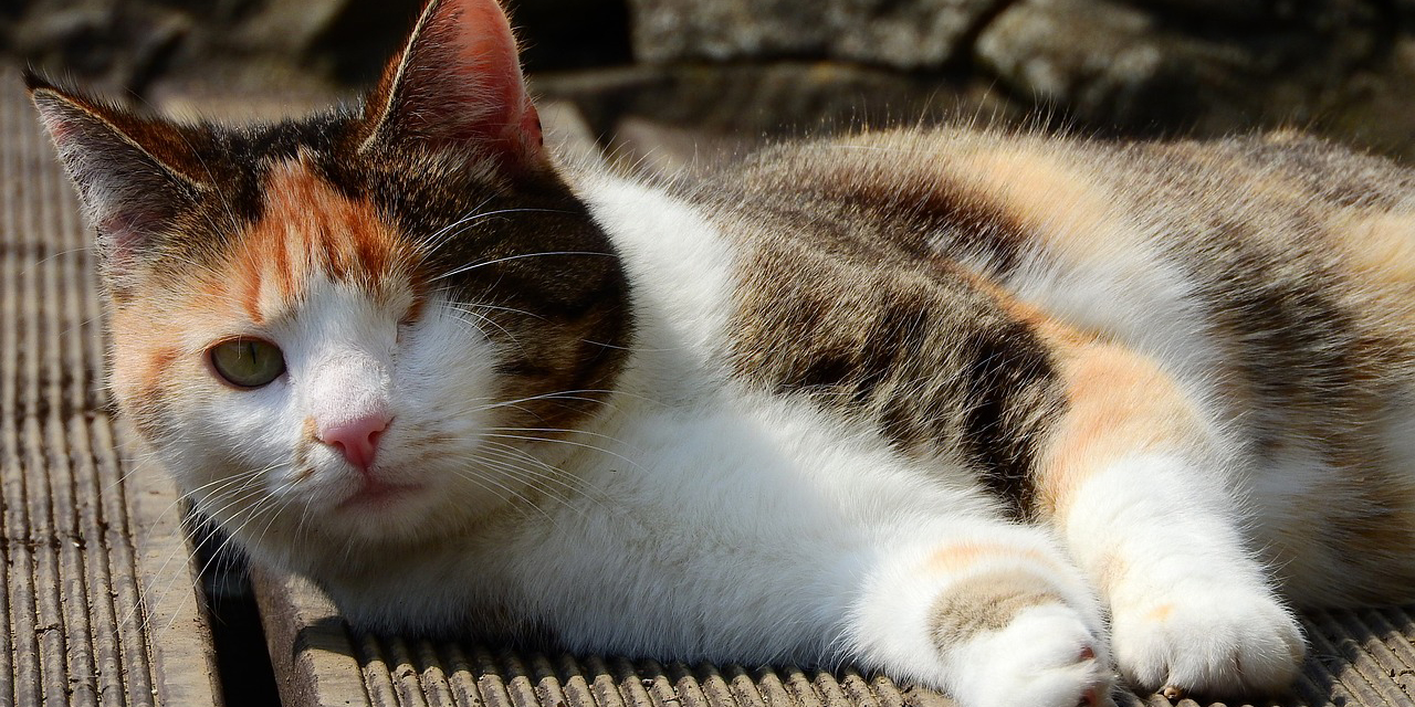 Ein Wort als Stigmatisierung