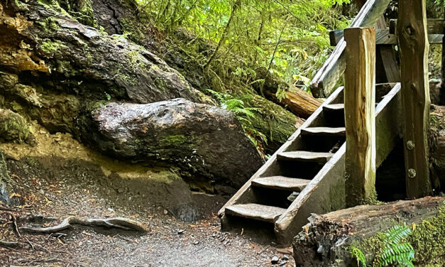 »Trotz Behinderung …«