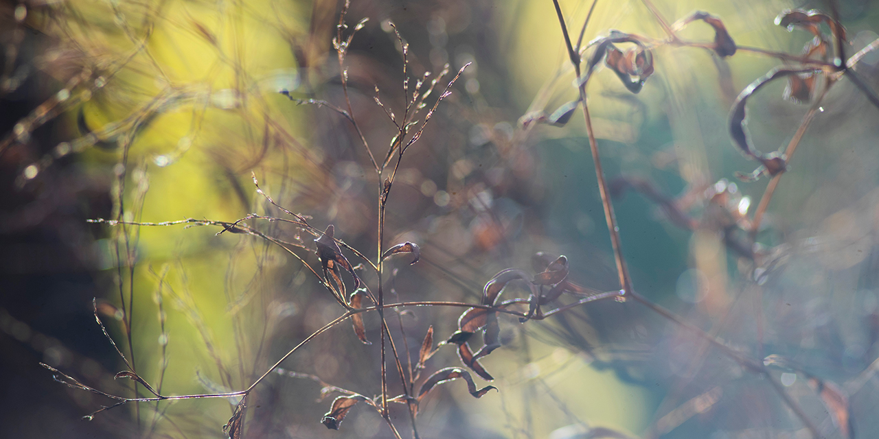 »September« – Gedicht