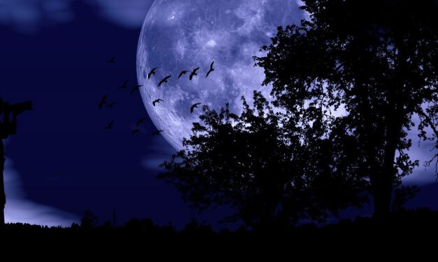 »Çocuk gözünde Dünya nereye | In den Augen des Kindes wo geht die Welt hin« – Gedicht in 2 Sprachen