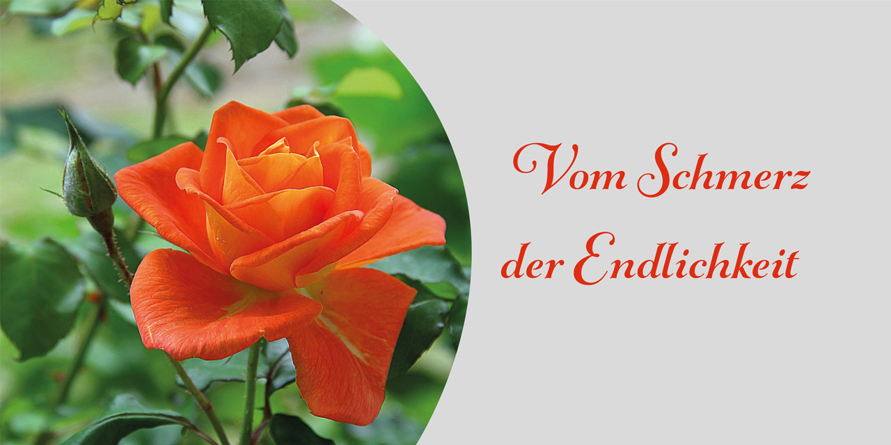 »Vom Schmerz der Endlichkeit« – Gedicht