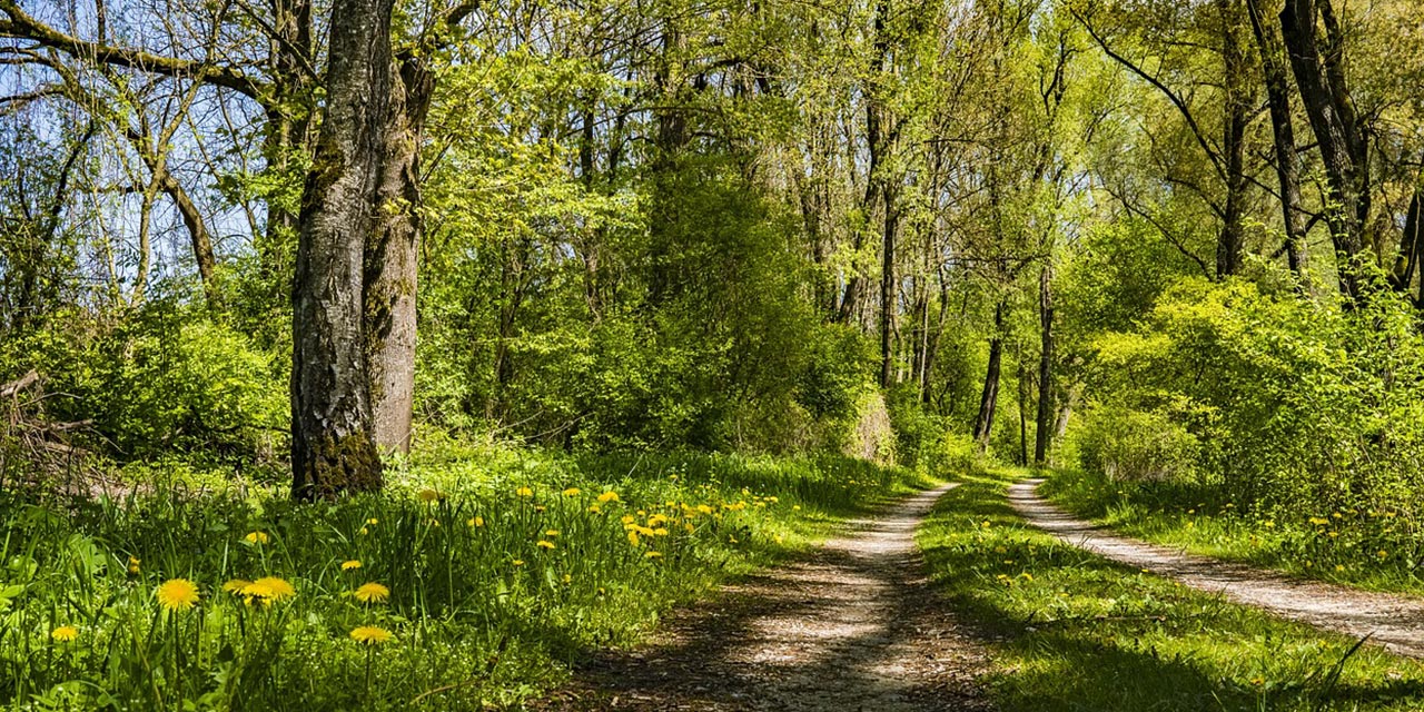 „Kein Roman ey“: Spazieren gehen ist gesund