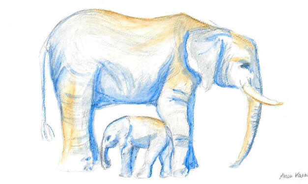 »Zeichne einen Elefanten« – Aktionstag im Kreativraum