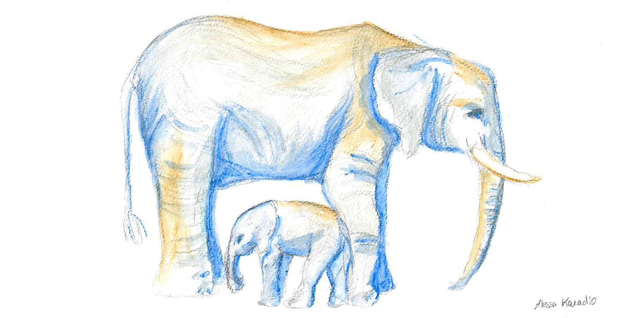 »Zeichne einen Elefanten« – Aktionstag im Kreativraum