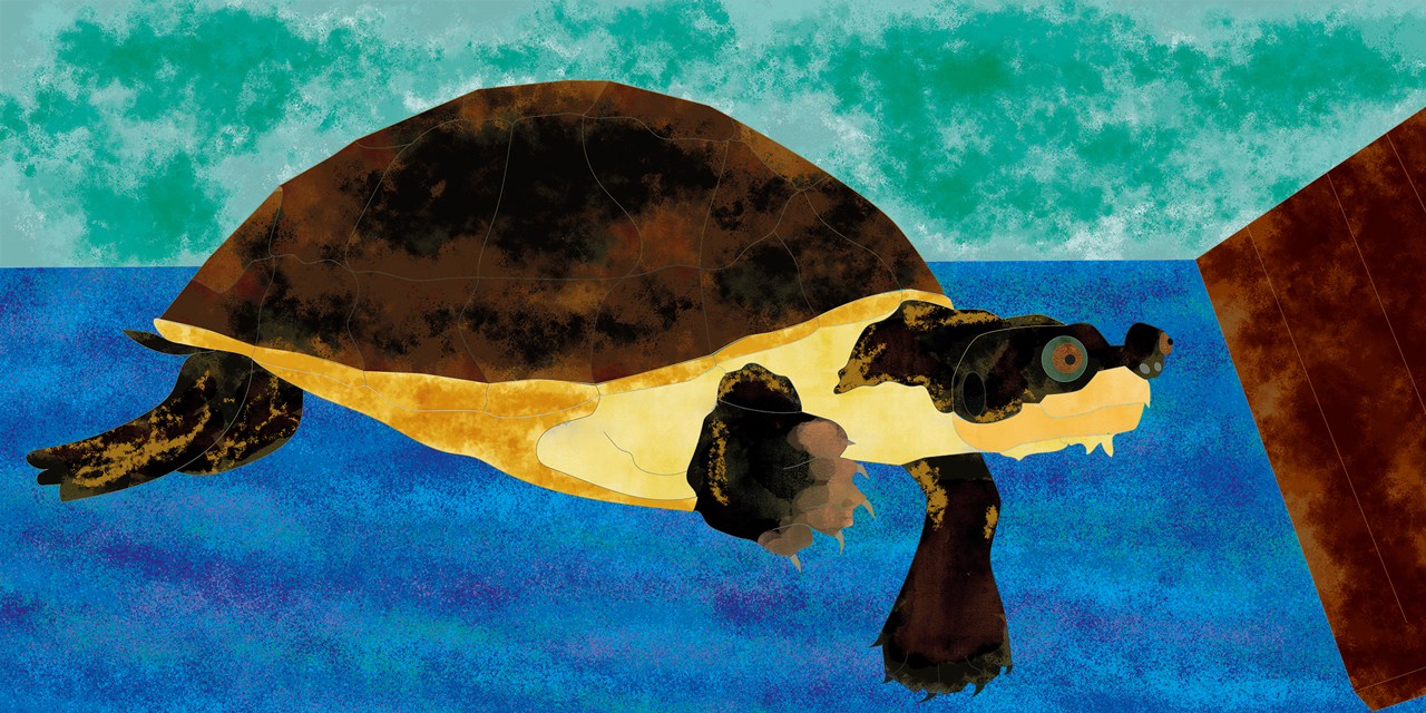 Never forgotten and forever in my heart!