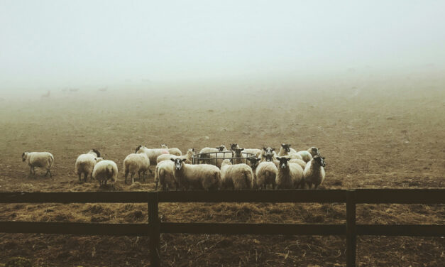 »Ich bin ein Zaungast in der Welt der Anderen«