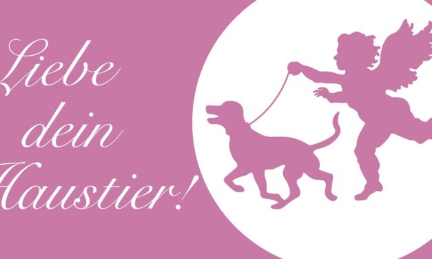 All you need is Love | »Liebe dein Haustier«