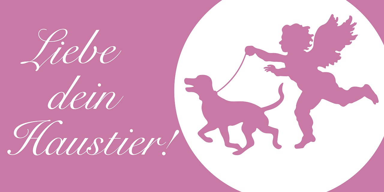 All you need is Love | »Liebe dein Haustier«