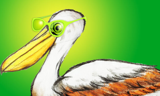 „Bock auf Öko“ – Der Pelikan mit grüner Brille