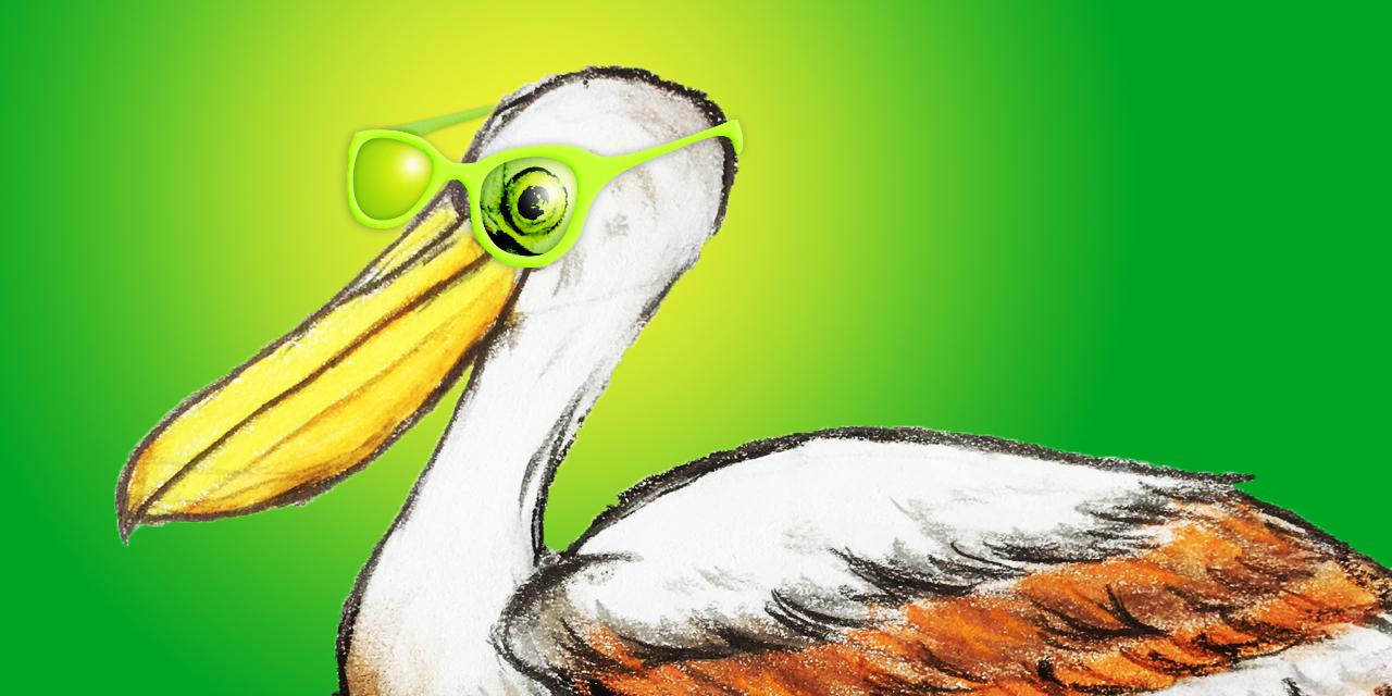 „Bock auf Öko“ – Der Pelikan mit grüner Brille