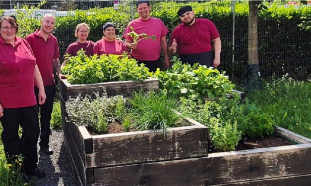 „Kein Roman ey“: Treffpunkt Kräuterbeet