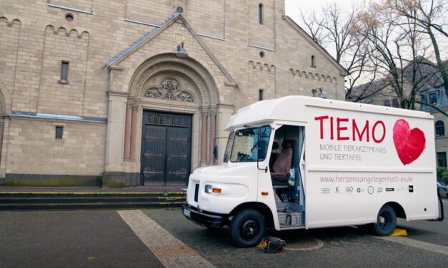 TIEMO – Die mobile Tierarztpraxis