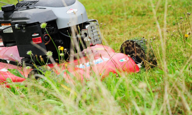 „Kein Roman ey“: Vom Linksaußen zum Greenkeeper