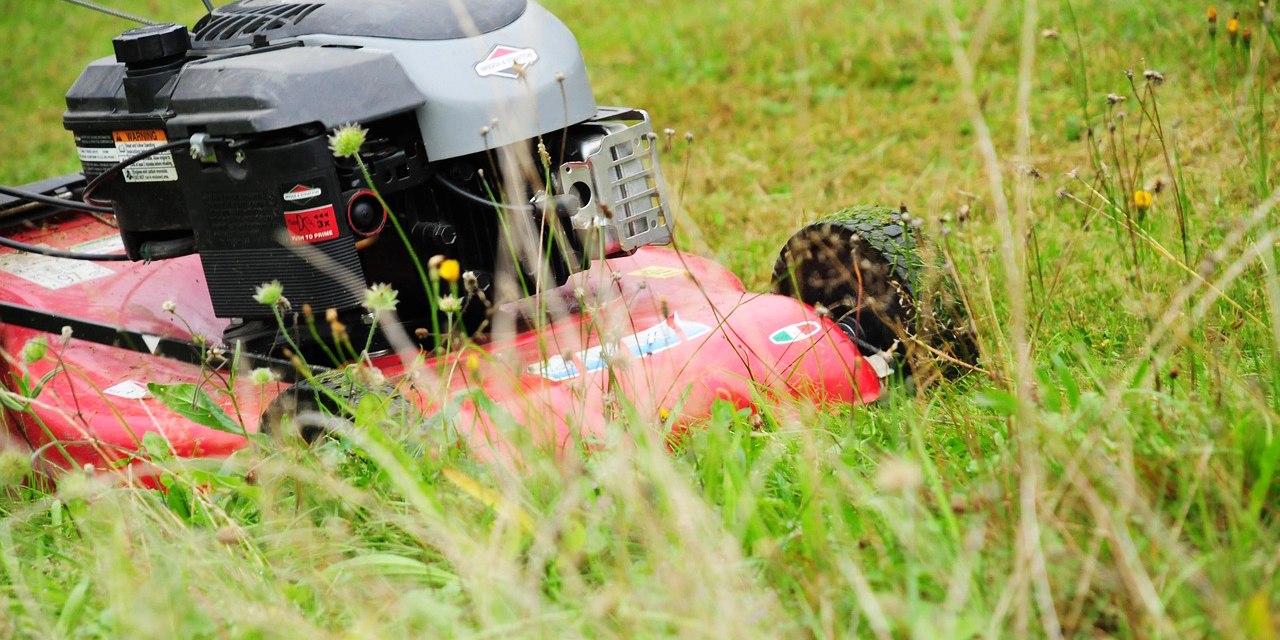 „Kein Roman ey“: Vom Linksaußen zum Greenkeeper