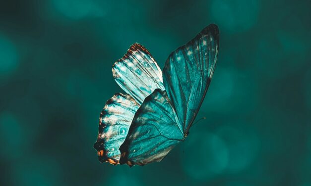 Ich wünsche mir zum neuen Jahr …