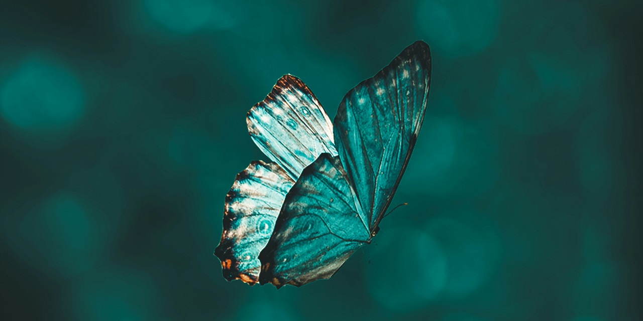 Ich wünsche mir zum neuen Jahr …